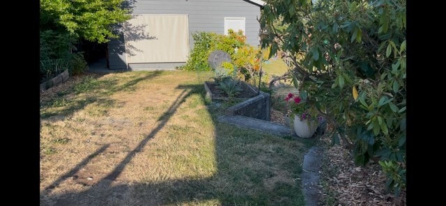 backyard - 9220 11th Ave SW