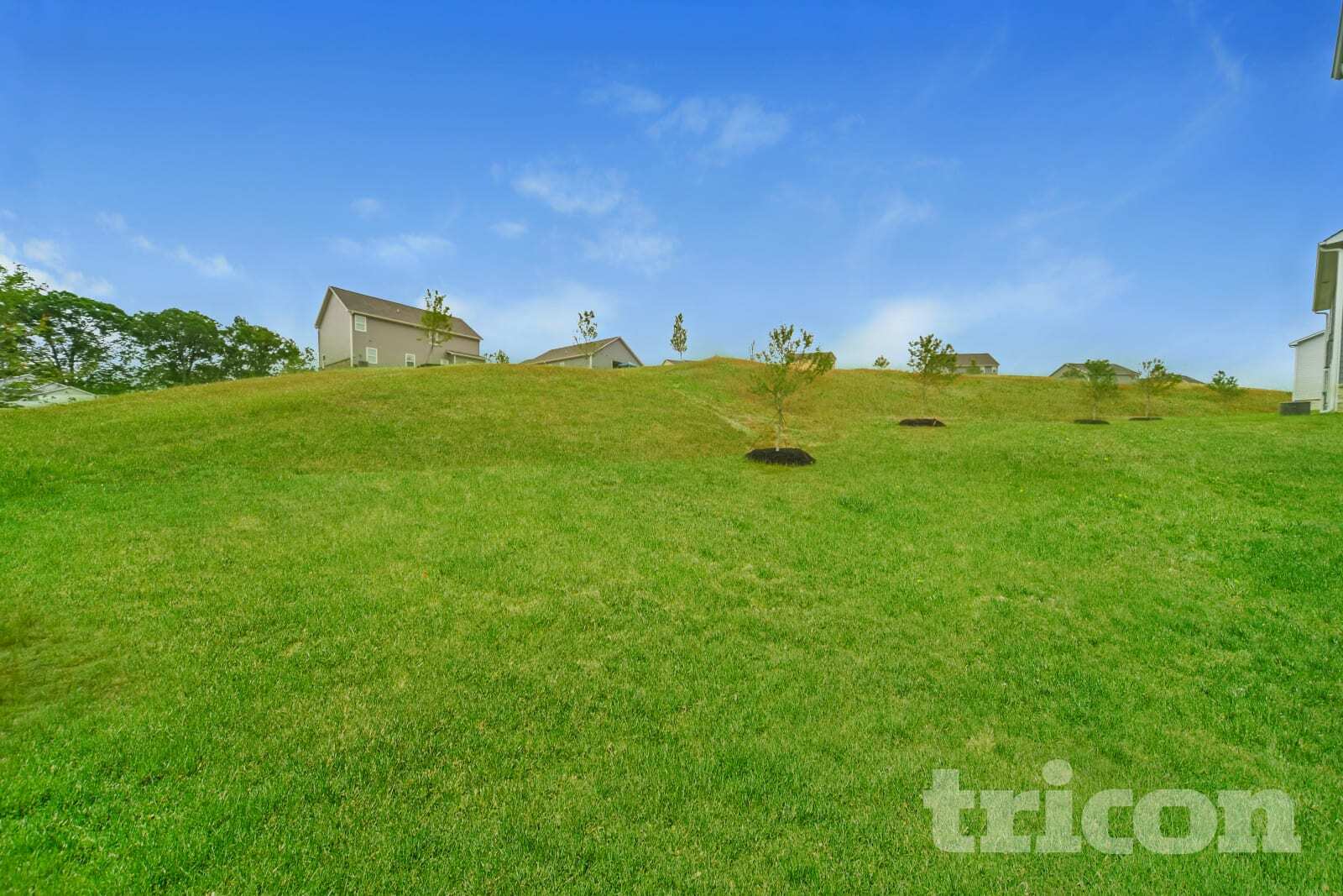 Building Photo - 966 Minden Terrace