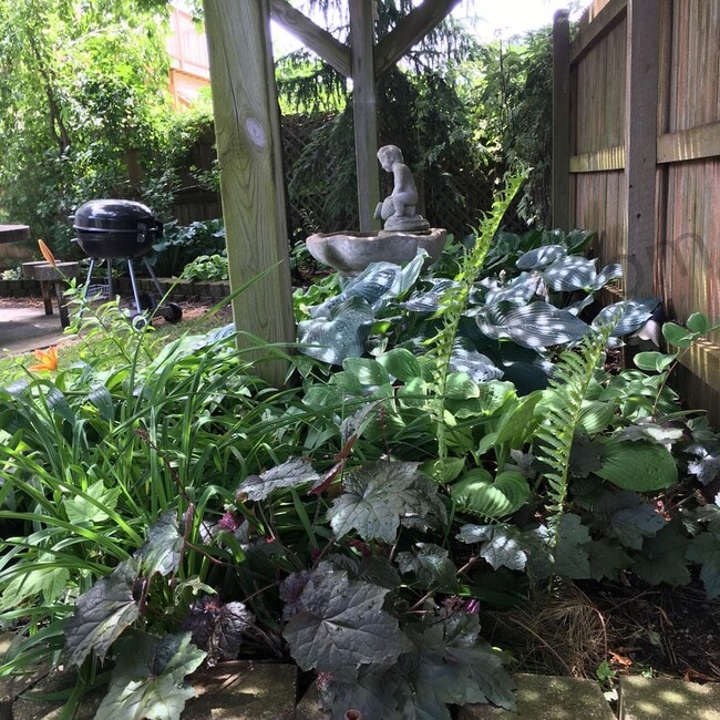 Building Photo - 4808 25th Ave