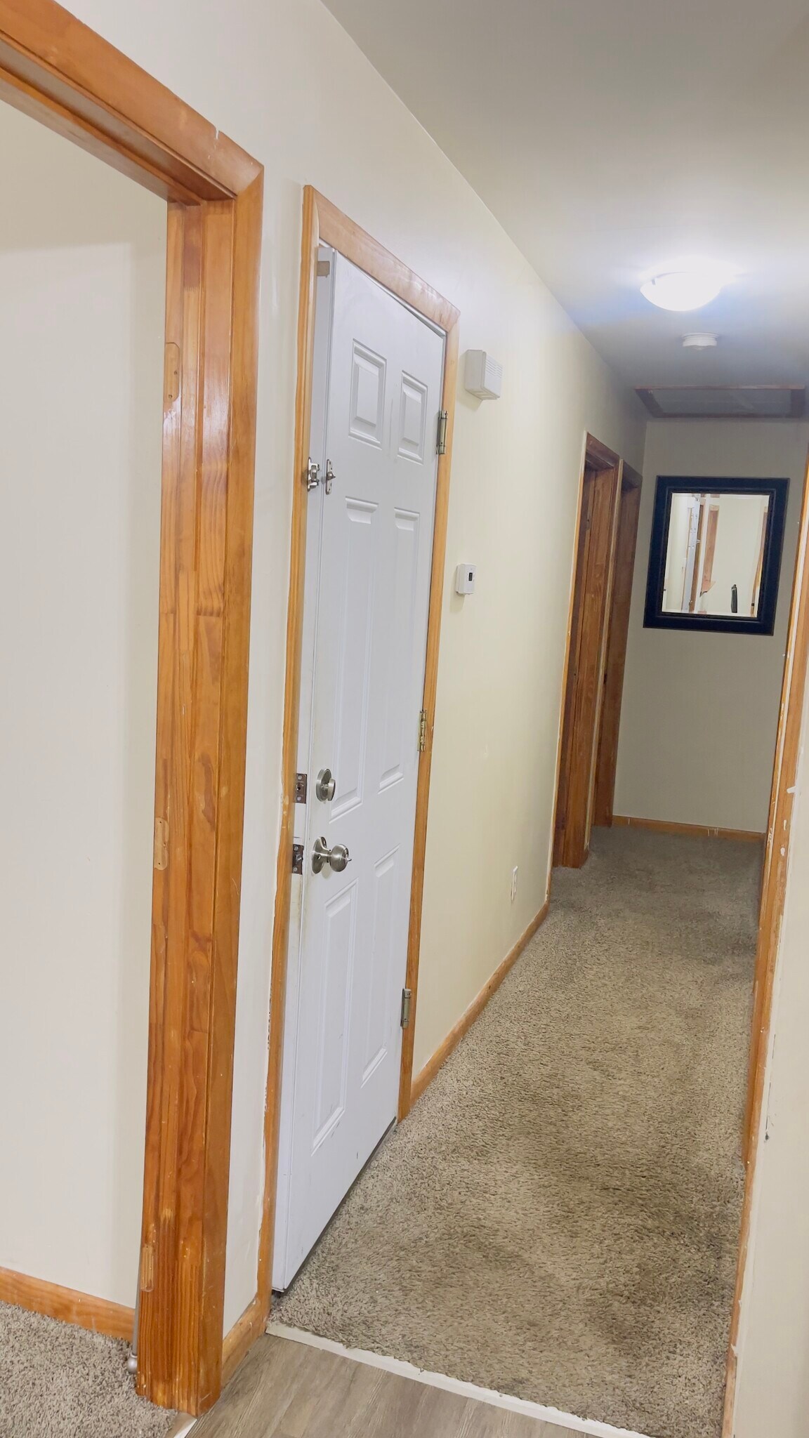 Building Photo - 33 Orne St