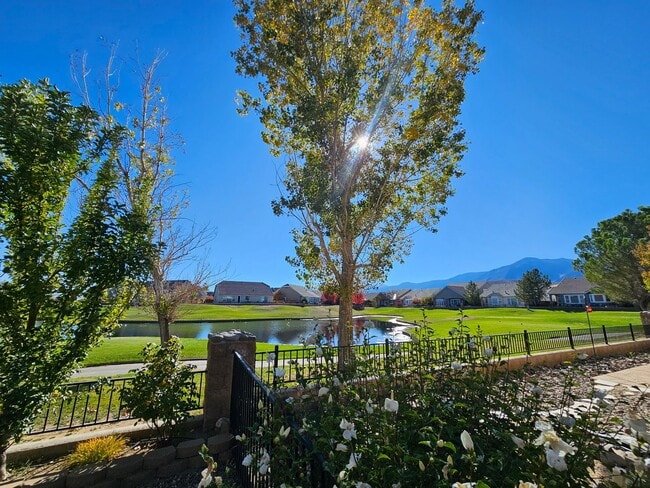 Building Photo - Beautiful Executive Home In Gated Community