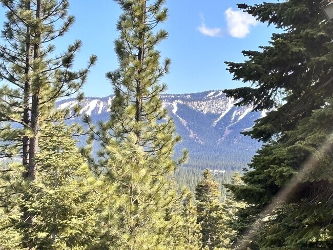 Building Photo - Ski Lease Available - Mountain Masterpiece with Panoramic Lake & Mtn Views