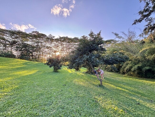 Building Photo - Peaceful 2.5-Acre Retreat | Furnished Mid-Term Rental