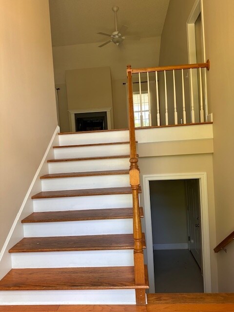 Building Photo - 135 Palmera Ln