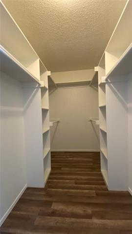 Building Photo - 1109 Falconcrest Ct