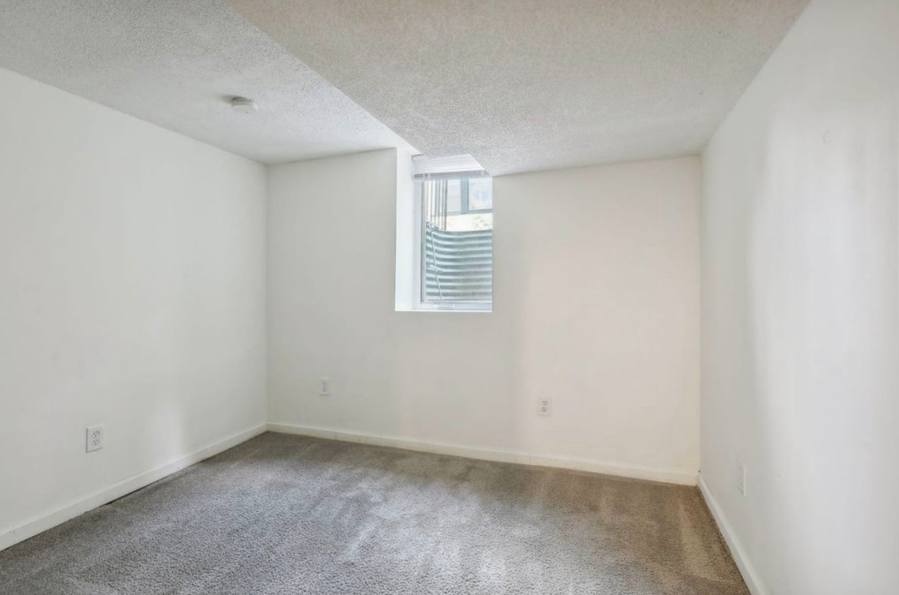 Downstairs Bedroom2 - 3912 Thomas Ave N