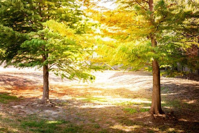 Building Photo - 2505 Thornton Rd