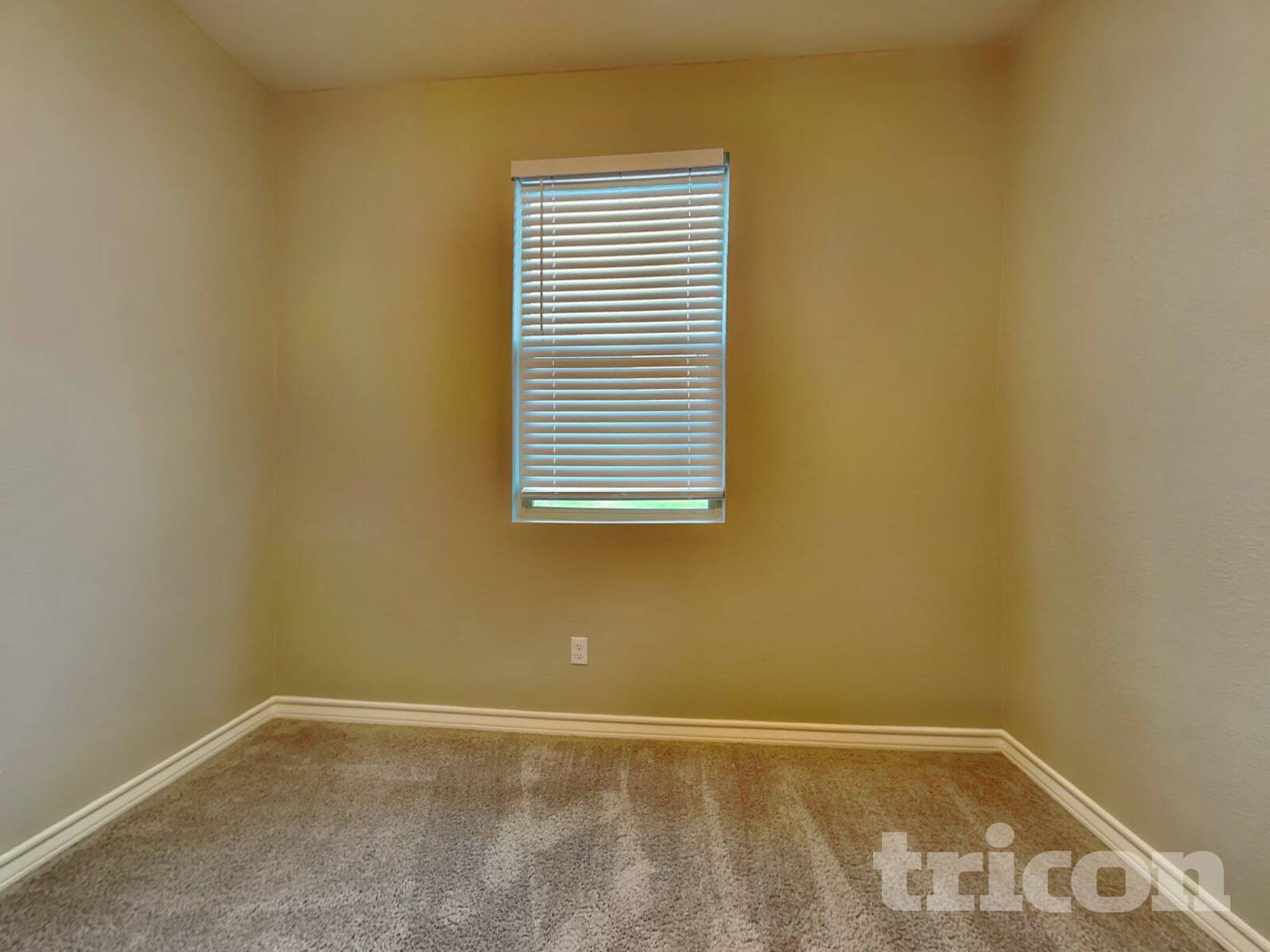 Building Photo - 241 Mary Max Cir