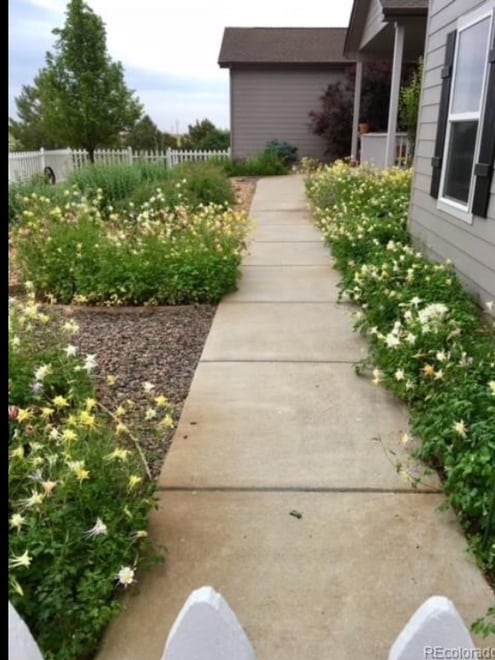 Building Photo - 49326 E Dorado Pl