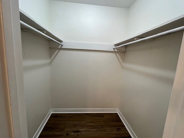 Building Photo - 162 Montclair Loop