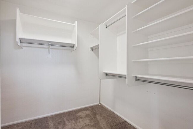 Building Photo - Very nice single level home with 4 bedrooms and 2 baths!