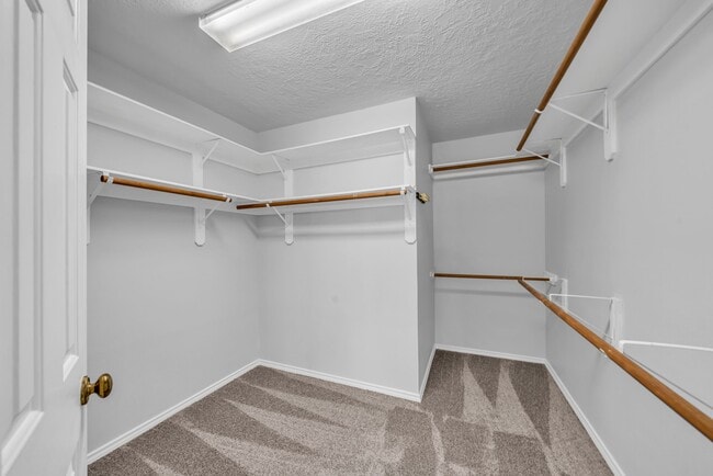 Building Photo - 5418 Timber Quail Dr