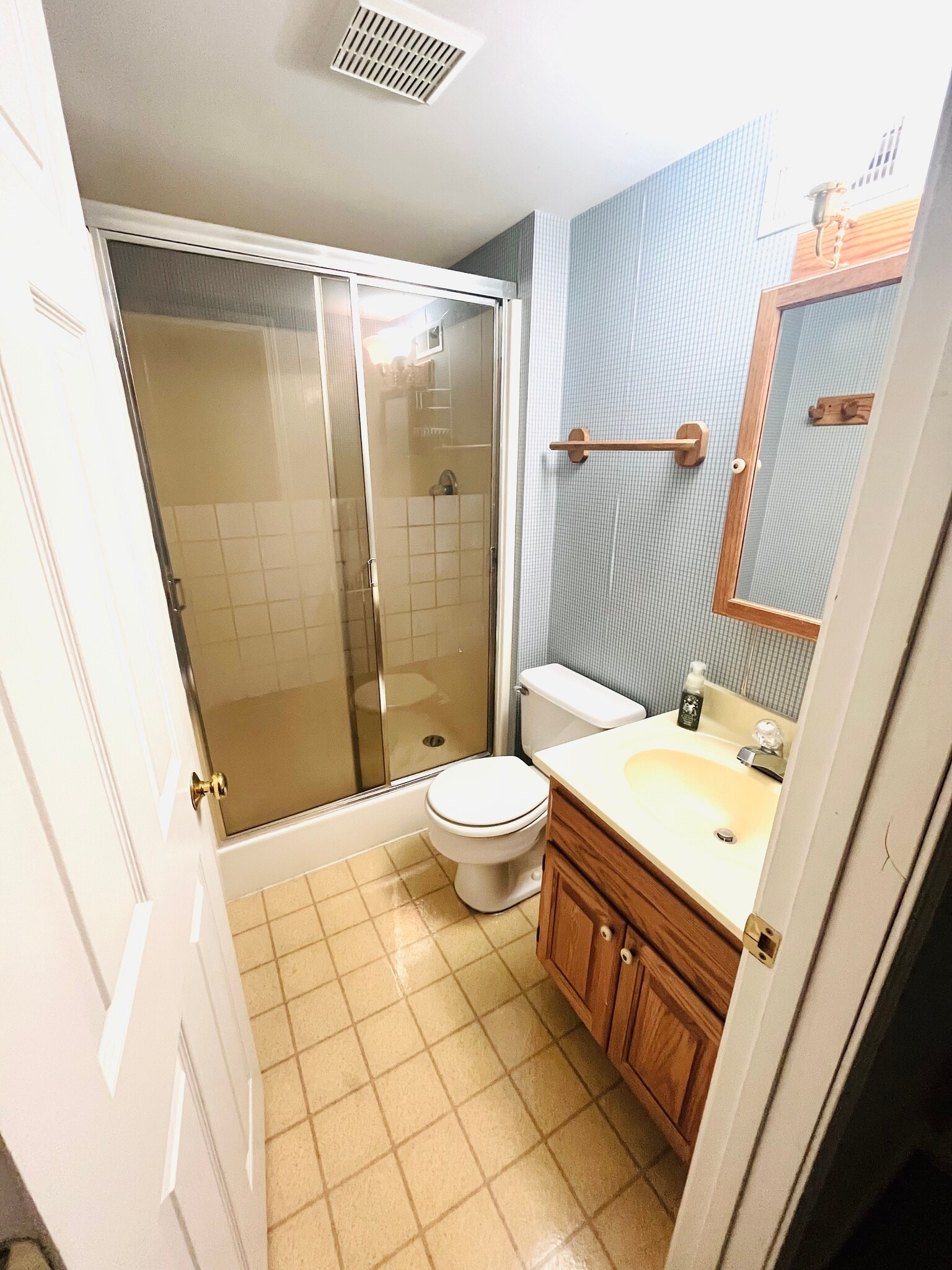 Full bath in basement - 141 Charleston Dr