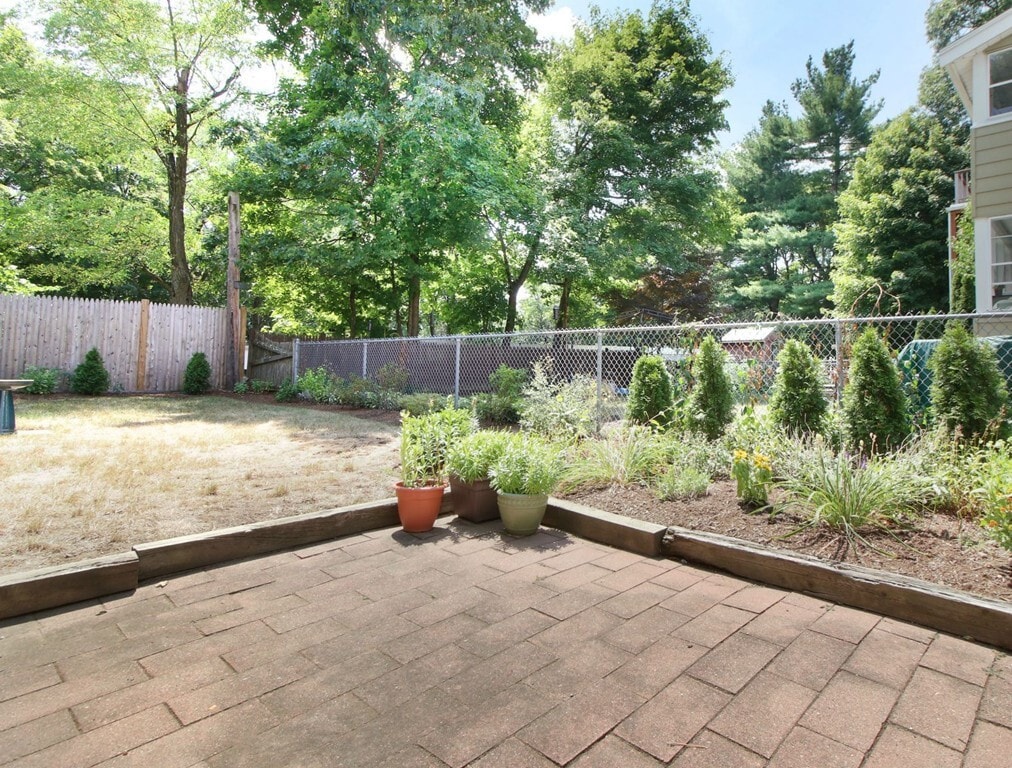 Backyard - 2 Tarleton Rd