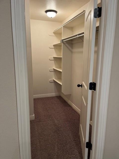 Building Photo - 117 Carrington Ave