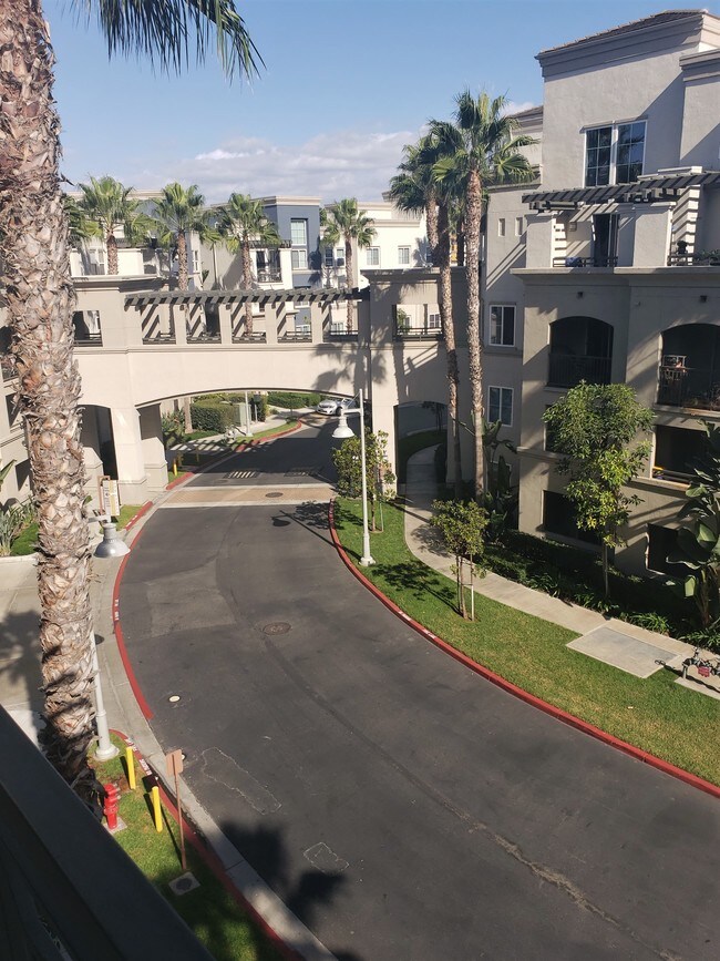 View From Patio - 1404 Scholarship