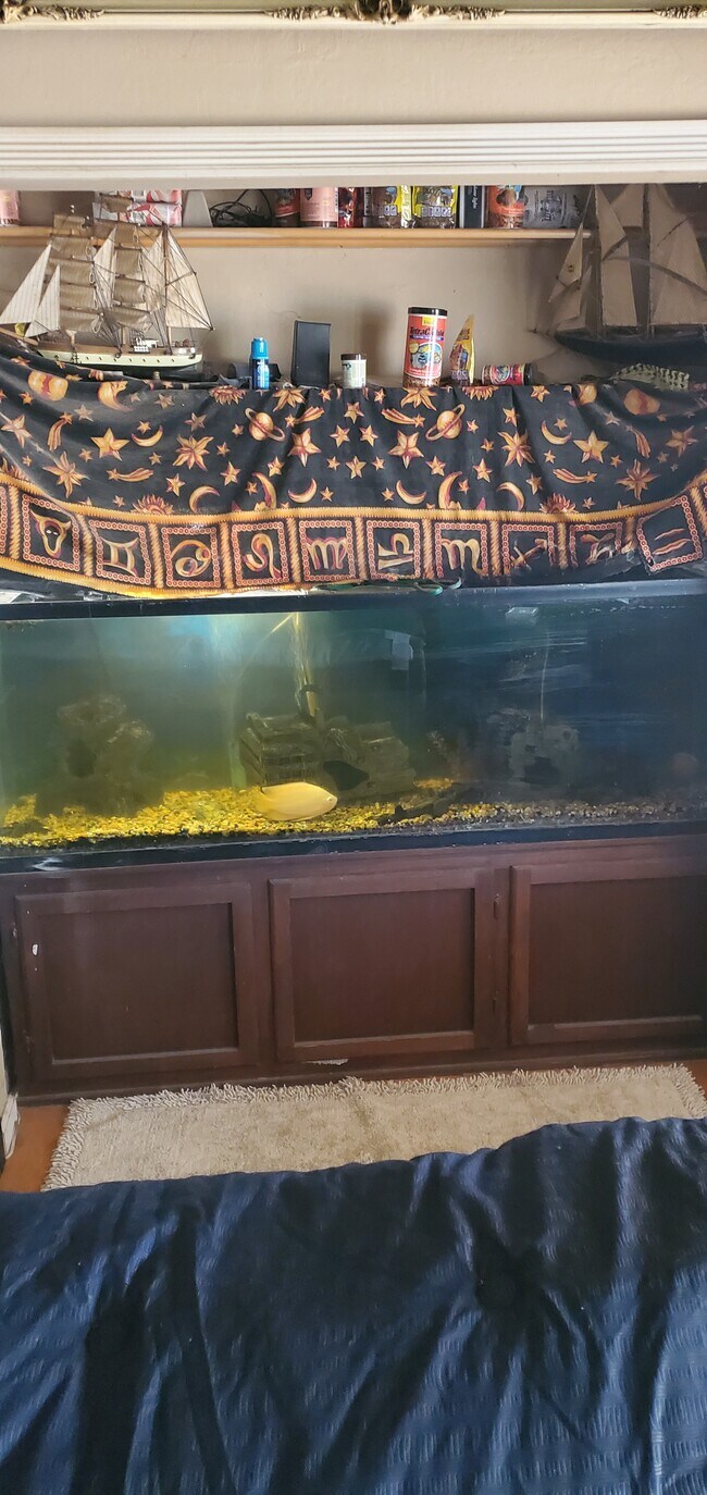 Building Photo - 1640 Baywood Dr