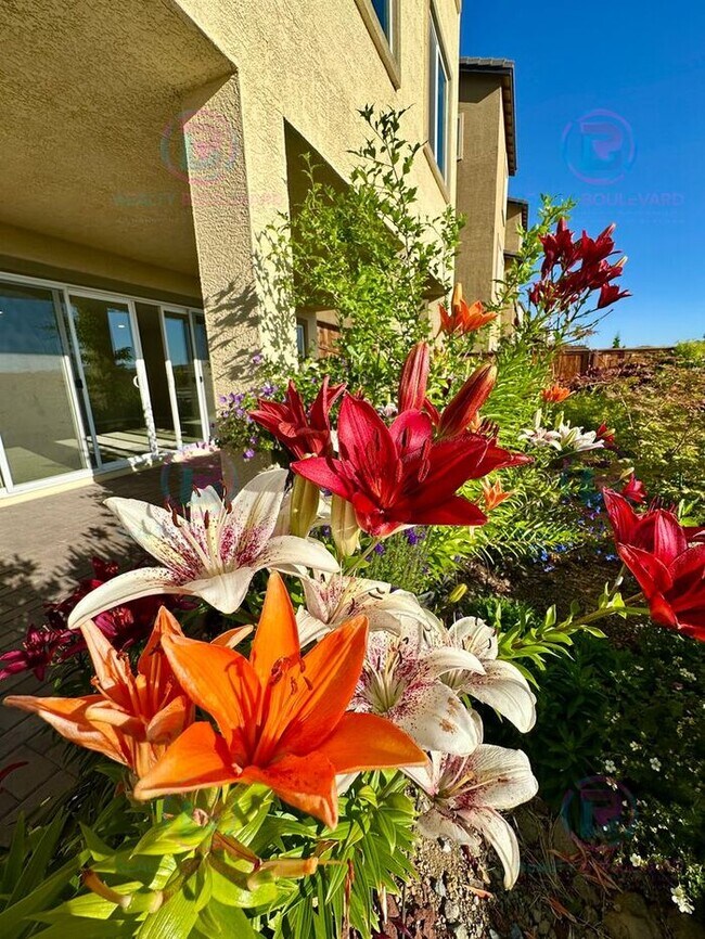 Building Photo - **1/2 Month Free!!** Modern 3-Story Home w...