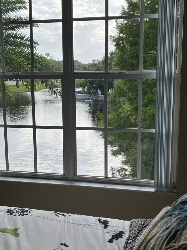 Building Photo - 14467 Mirabelle Vista Cir