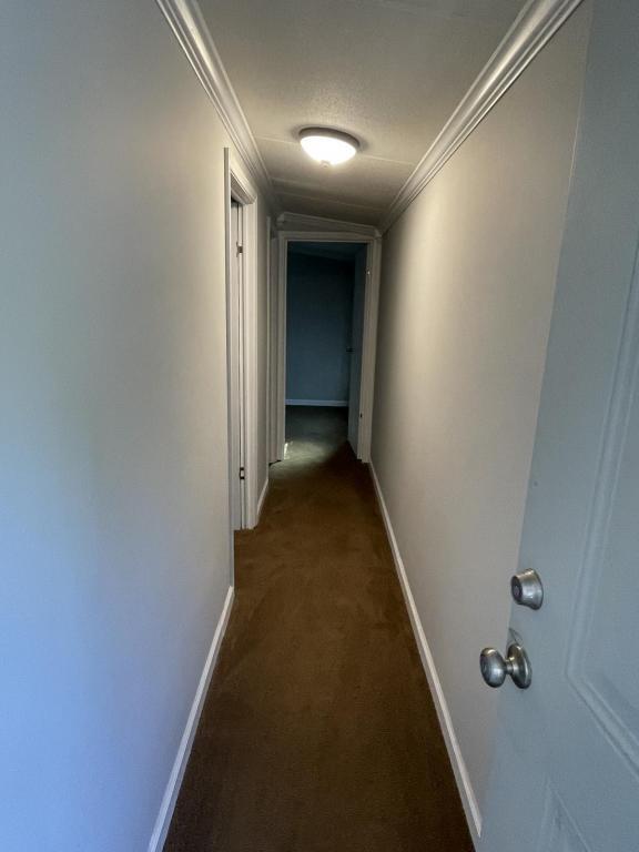 Building Photo - 931 Ravenwood Dr