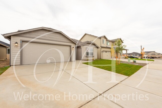 Building Photo - Beautiful Newer Home in New Neighborhood