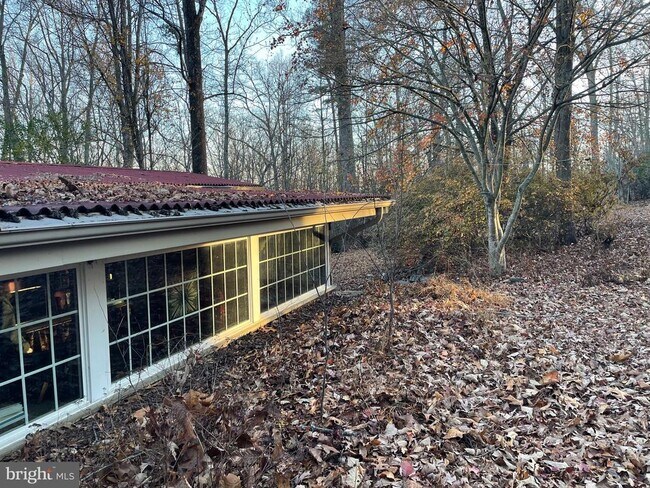 Building Photo - 59 Angel Kiss Ln