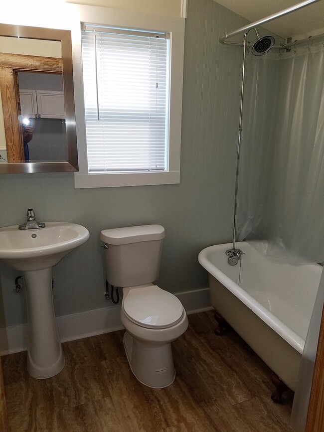 Building Photo - Large one bedroom home with huge yard
