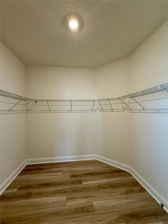 Building Photo - 53 Signet Cir