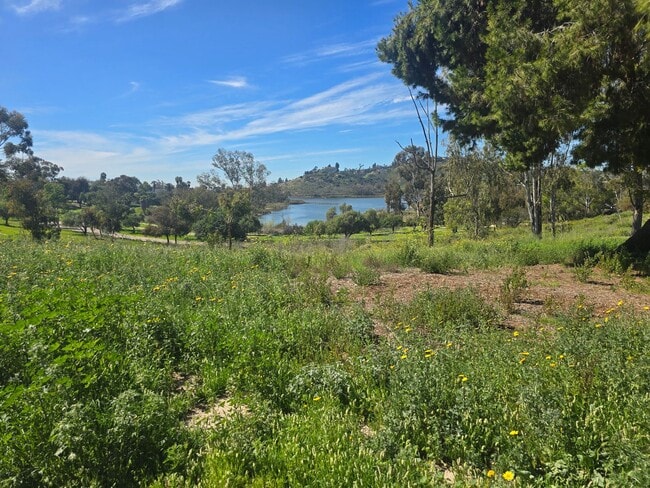 Building Photo - 1 Bed 1 Bath Close to Lake Murray