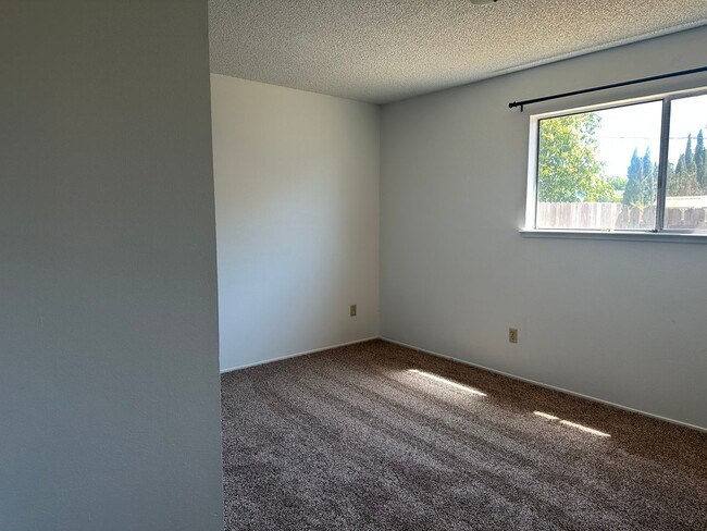 Building Photo - New LVP & Carpet! Great Anderson location!