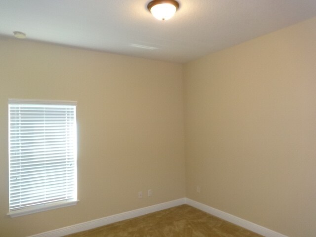 Building Photo - 30113 Saddlebred Ln