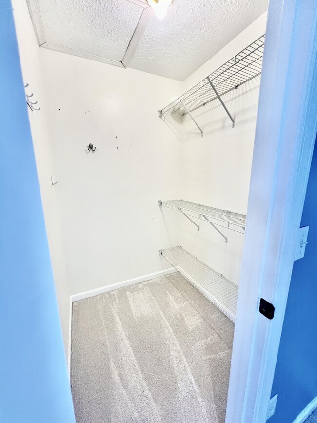 Building Photo - 229 Palisades Dr