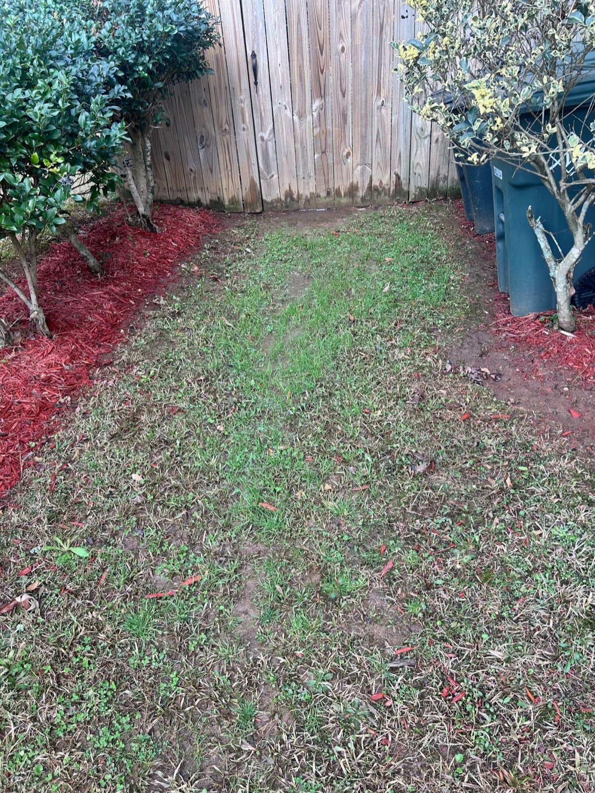 Building Photo - 574 Manning Rd SW