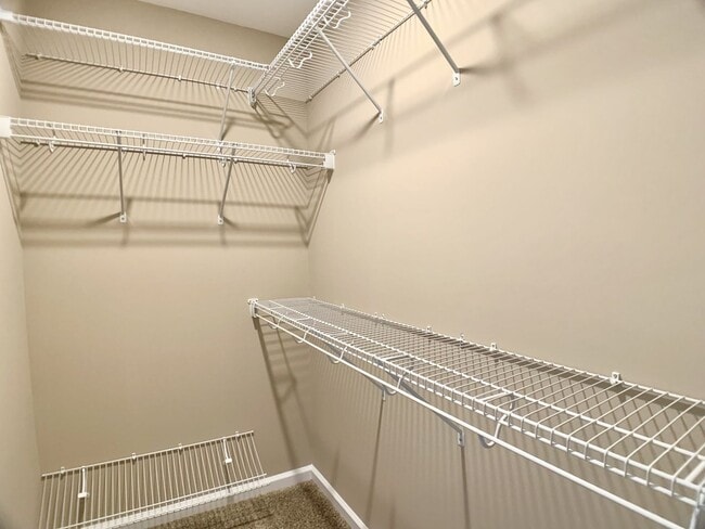 Building Photo - 425 Ayden Ln