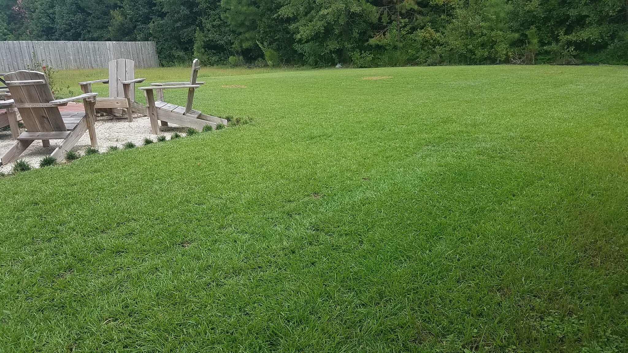 BACKYARD - 110 Ristona Dr