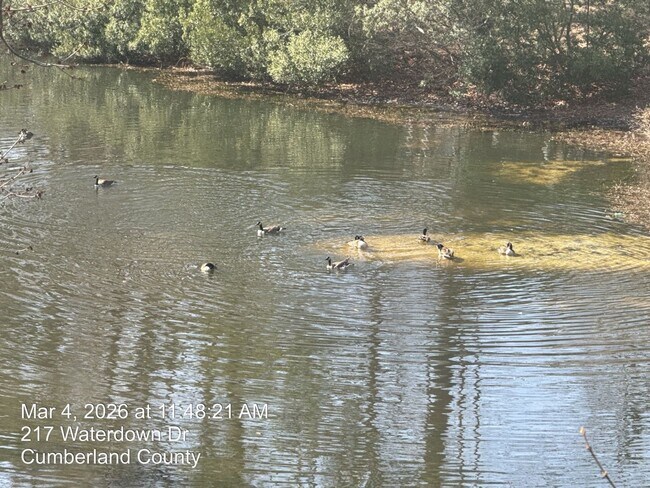 Building Photo - 217 Waterdown Dr