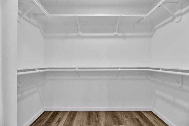 Building Photo - 2726 Stetson Ln