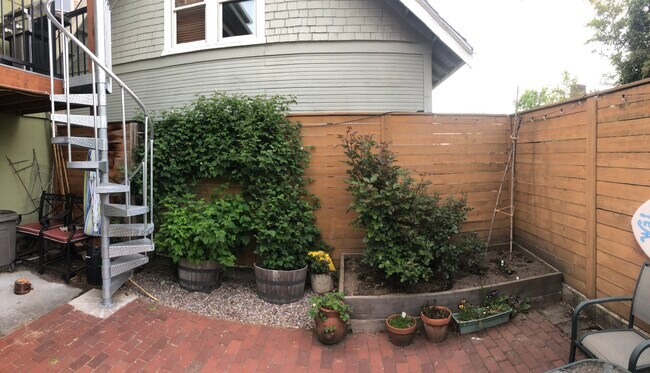 Raspberry bushes. The rose bush on the right is gone leaving the bed open for veggies. - 4118 SW View Point Ter