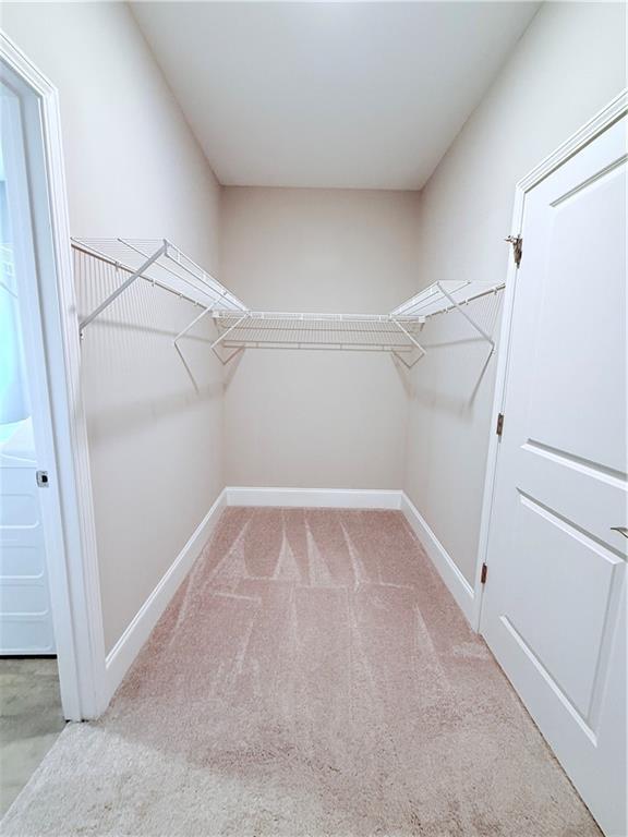 Building Photo - 4140 Barleycove Ln