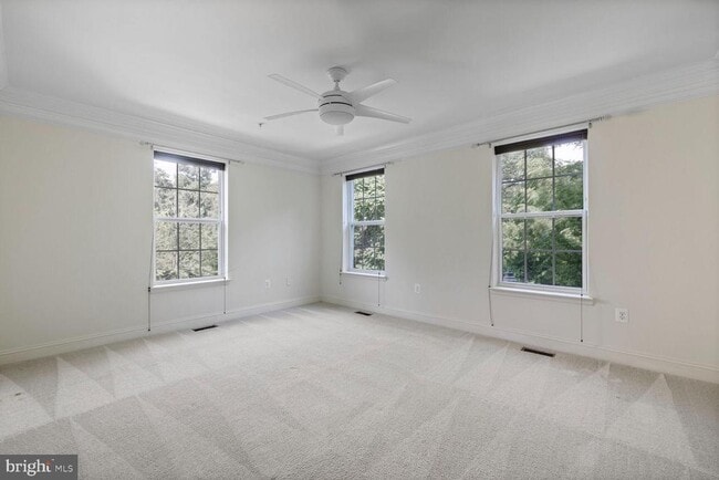 Building Photo - 306 Park Ave