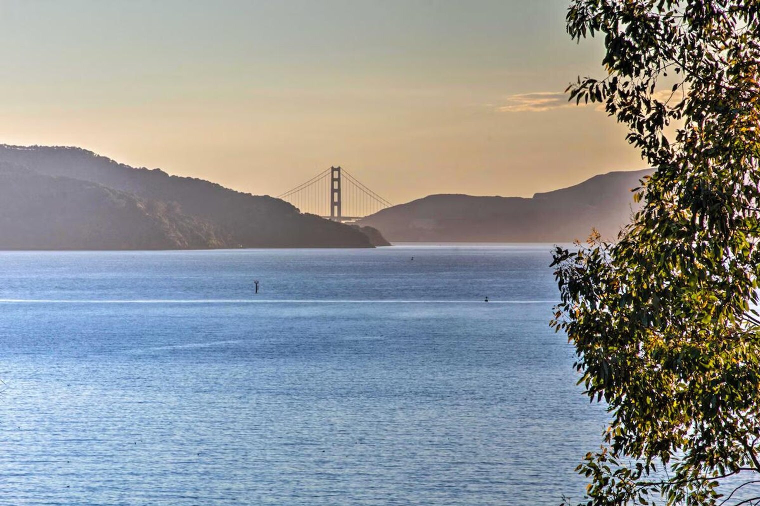 Building Photo - 60 Belvedere Ave