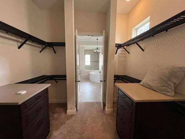 Building Photo - 12927 Canopy Woods Way