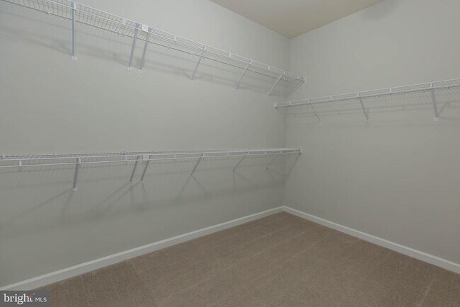 Building Photo - 305 Lewisburg Ln