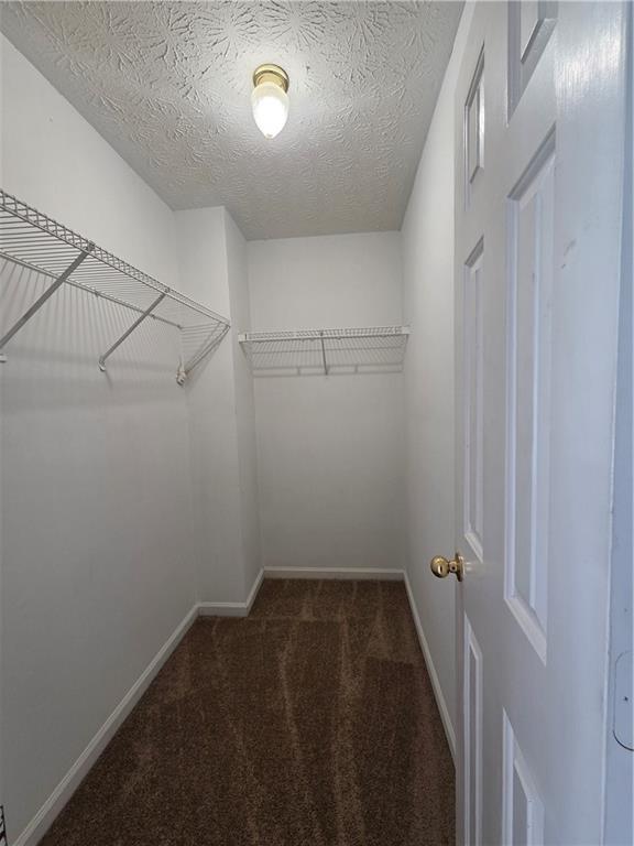 Building Photo - 975 Windwood Ct