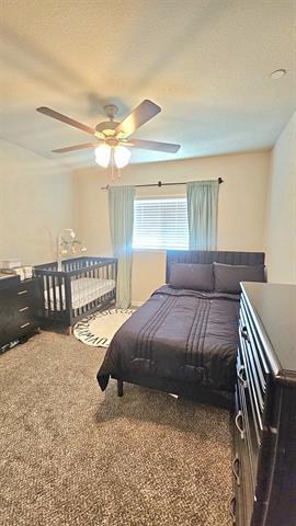 Building Photo - 2860 Appaloosa Ln