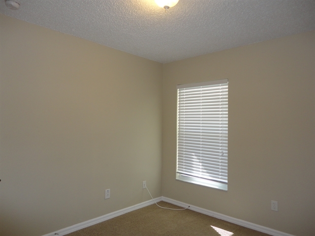 Building Photo - 13116 Carrollwood Creek Dr
