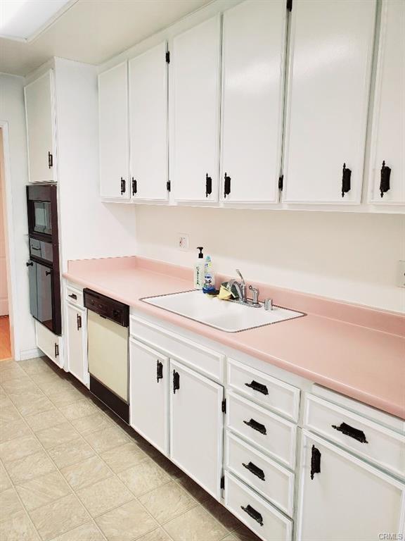 Kitten getting new dishwasher - 14141 Dickens St