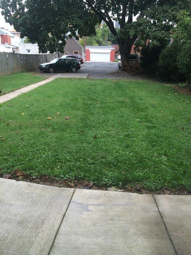 yard and parking - 137 E Lemon St