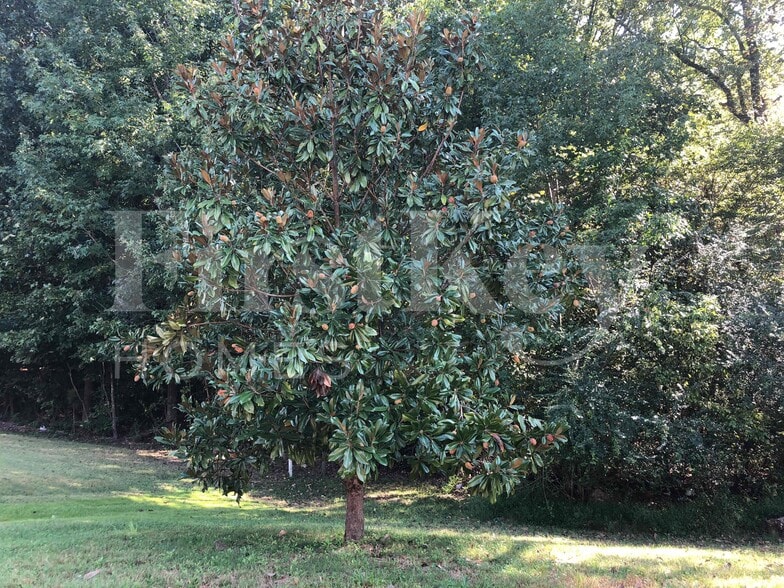 Building Photo - 3770 Richbrook Dr