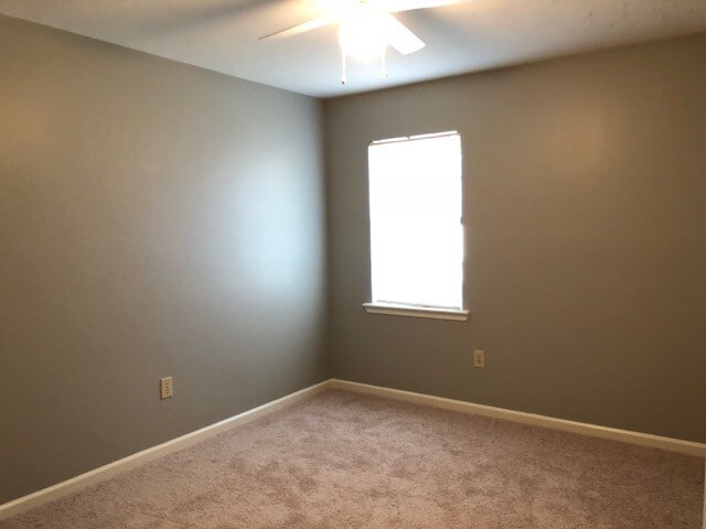 Building Photo - 3 Bed/2 Bath for Rent in Madison!